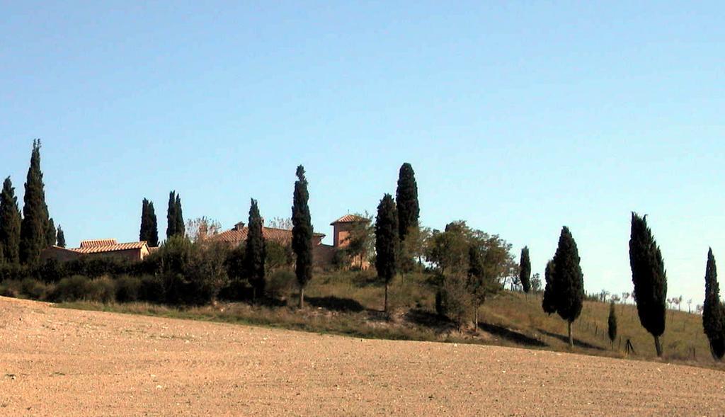 Hotel Castello Di Leonina Relais - Adults Only Siena Zewnętrze zdjęcie